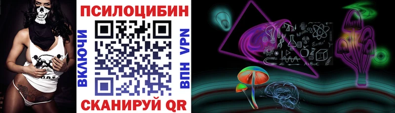 как найти закладки Киселёвск Псилоцибиновые грибы прущие грибы